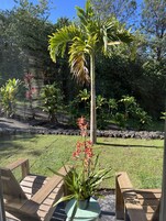 Quarto clássico, 1 cama Queen, vista para o jardim | Terraço/pátio