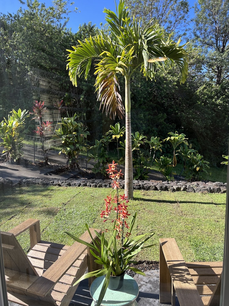 Mango Sunset BnB Inn at Lyman Kona Coffee Farms by null