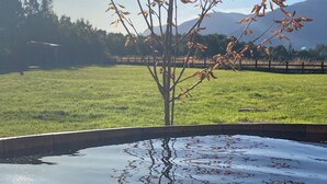 Un árbol con ramas desnudas reflejado en un cuerpo de agua, rodeado de un campo cubierto de hierba y montañas al fondo.