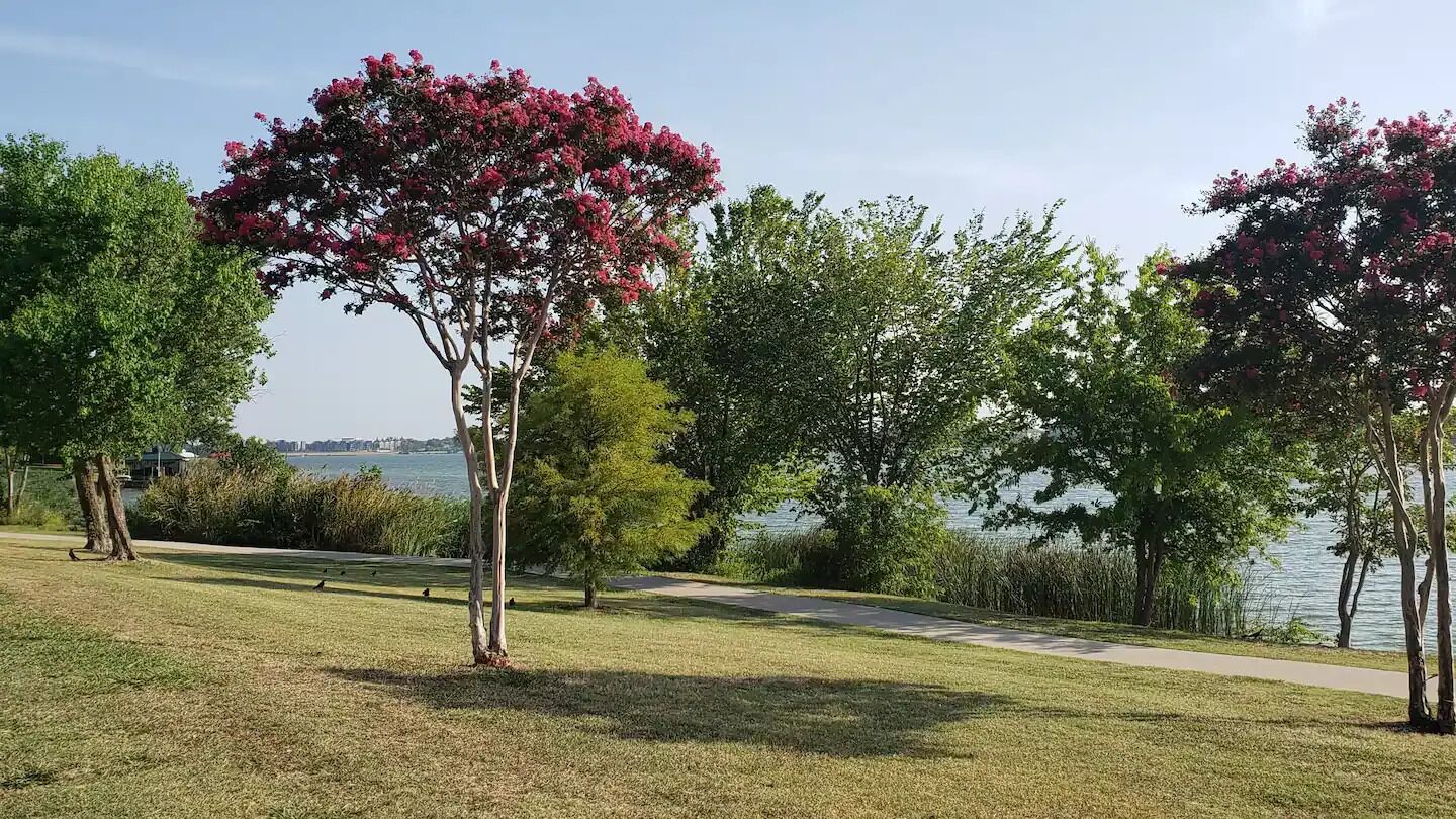 A park with a walking path, trees, and a lake in the background.