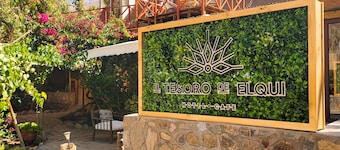 El Tesoro de Elqui