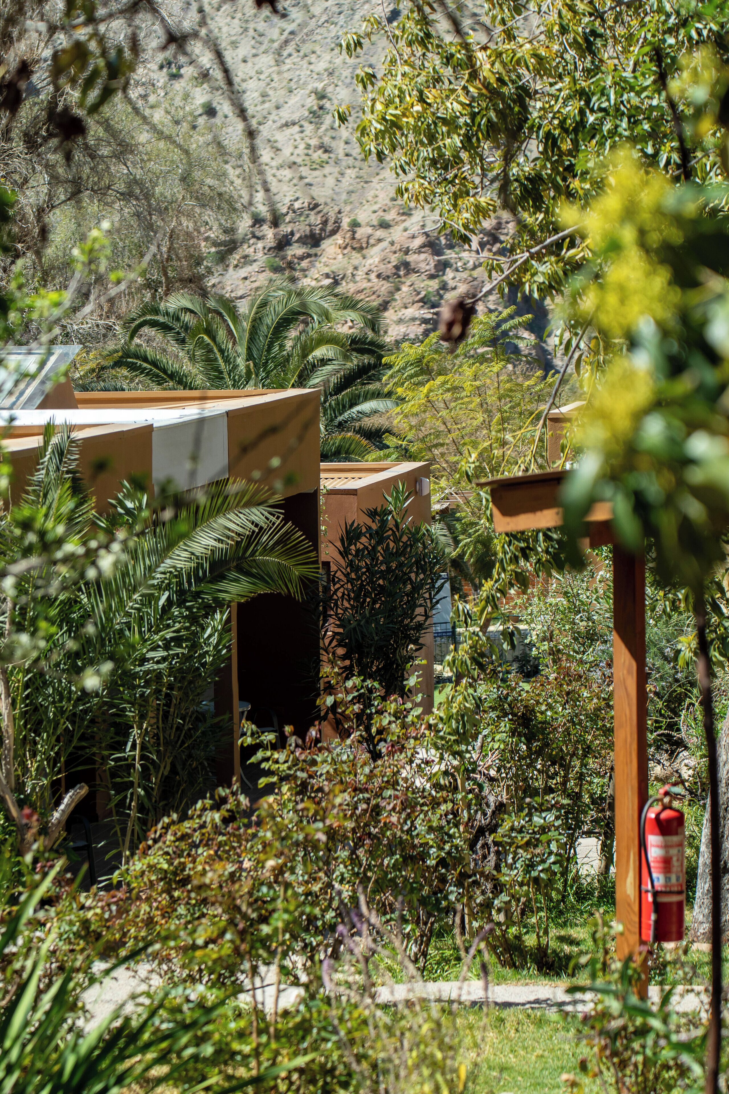 Un jardín con diversas plantas y un extintor.