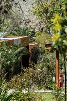 Un jardín con diversas plantas y un extintor.