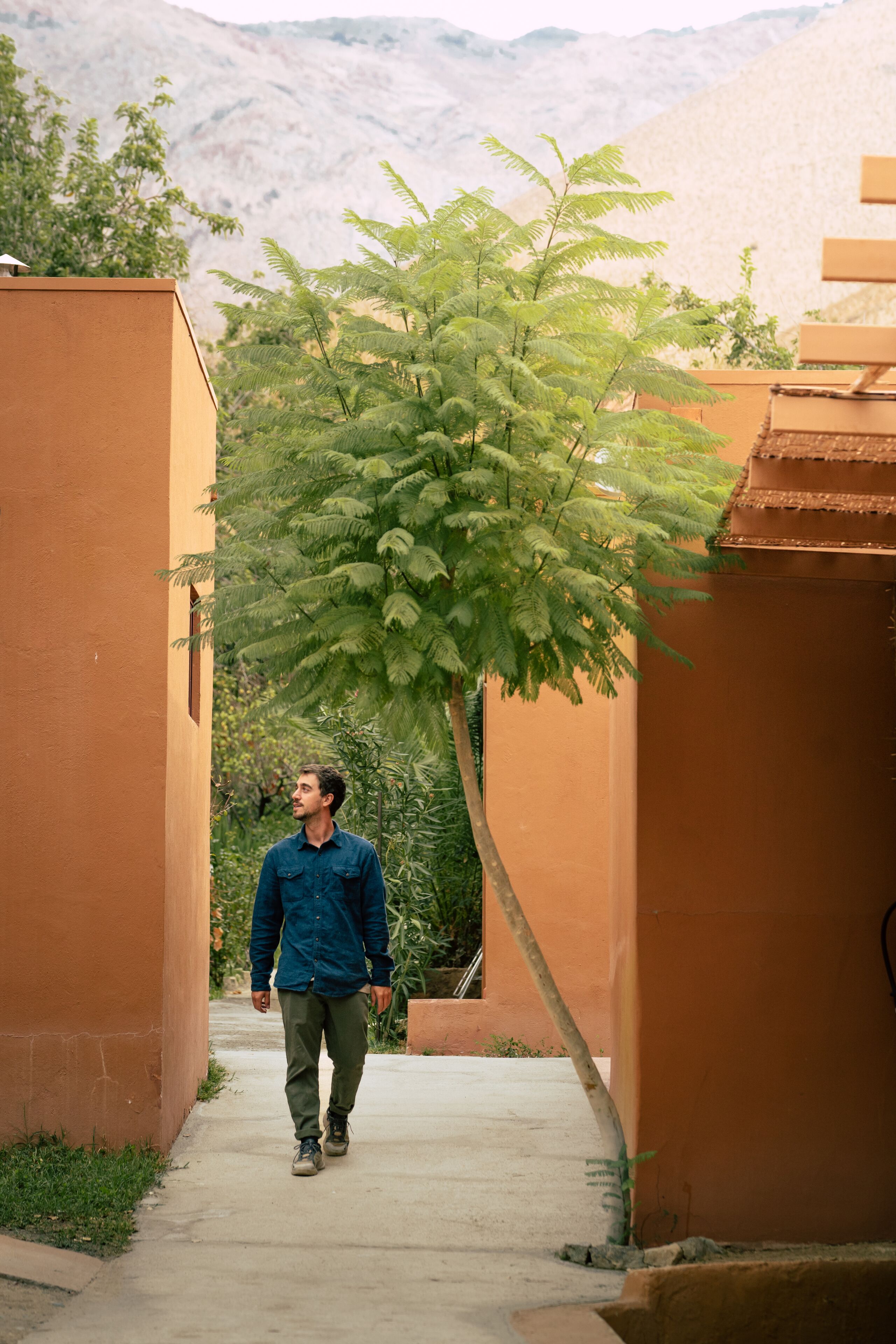 Un hombre camina por un callejón estrecho flanqueado por edificios, con un árbol en el centro.