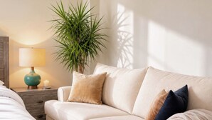 Un salón en tonos neutros con un sofá, una lámpara, una planta en maceta y una cama.