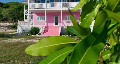 Quiet 2 bedroom apartment near beaches , bars, restaurants/Parking /Garden