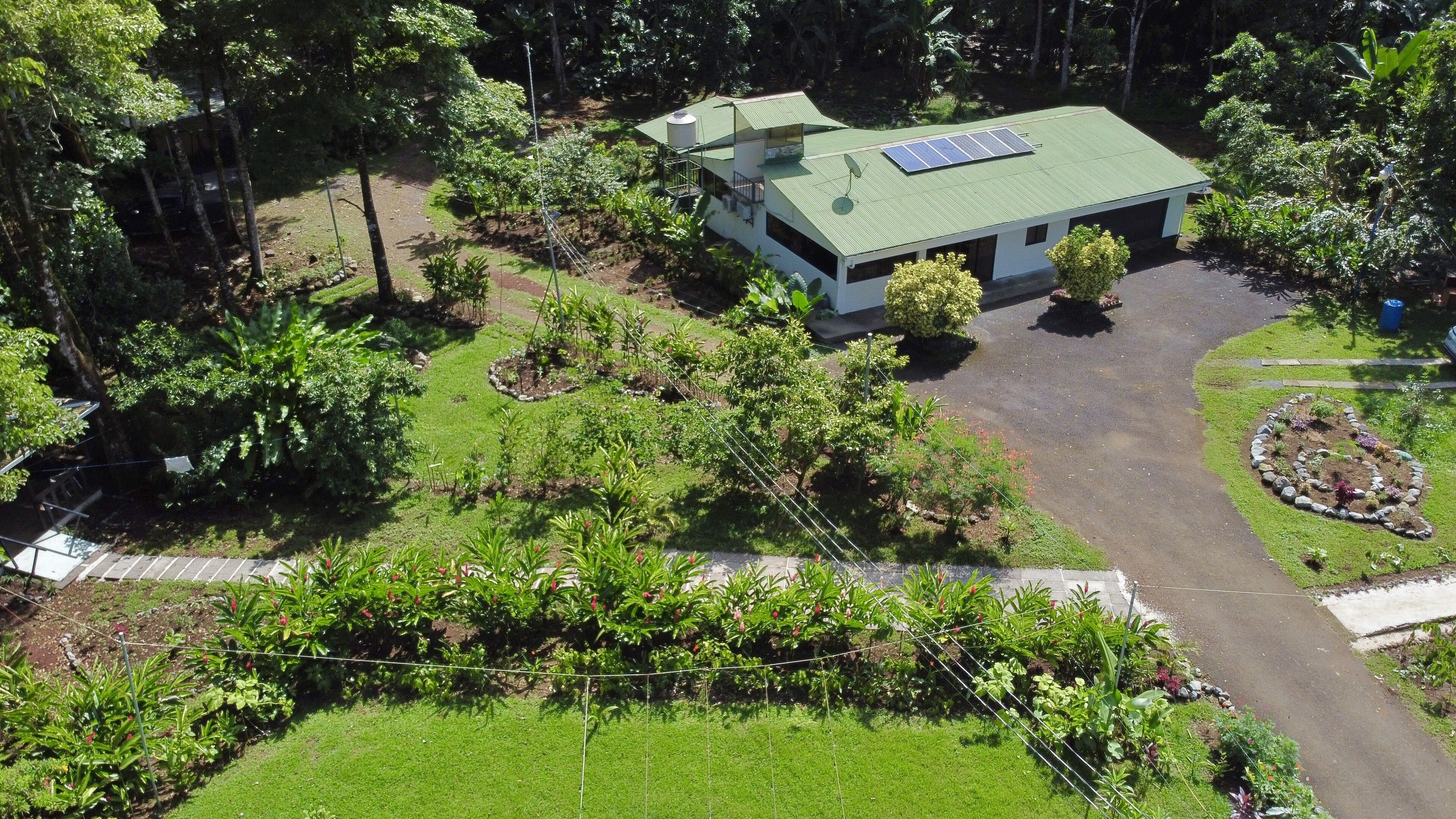 A modern house with a green roof, surrounded by lush gardens and trees.