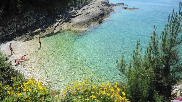 Ein Küstenstrand mit klarem Wasser, felsigen Klippen und gelben Blüten im Vordergrund.