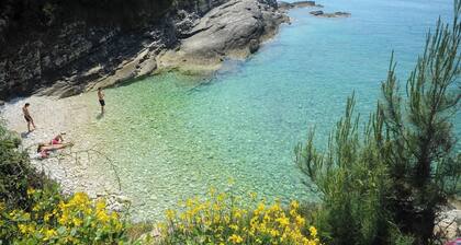 Apartment for 4 Person in Liznjan,istrien,kroatien