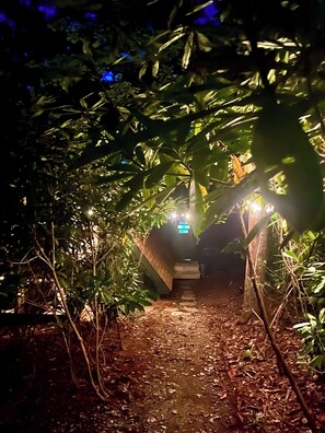 Property grounds - A-frame Blue Ridge Parkway Cabin - Treehouse porch (Newland)