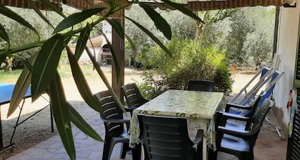 Relax - Olive And Sea Sperlonga