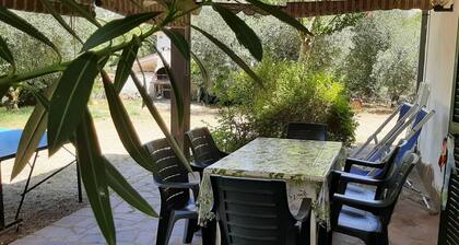 Relax - Olive And Sea Sperlonga