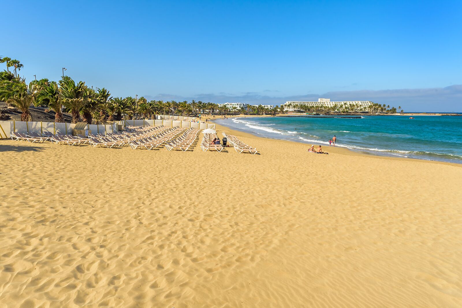 Una spiaggia con file di lettini, palme, un cielo azzurro e un edificio sullo sfondo.