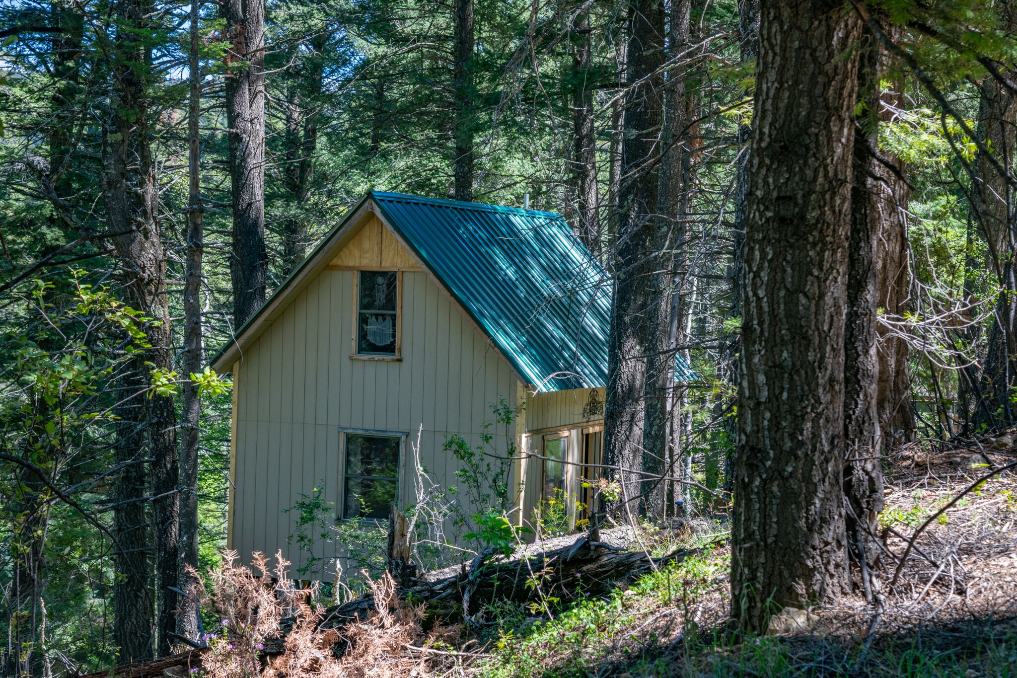 "Peace & Quiet", Nature's Retreat, 50 yds from Trailhead, Wildlife Galore