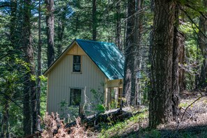 Exterior - "Peace & Quiet", Nature's Retreat, 50 yds from Trailhead, Wildlife Galore (Cloudcroft)