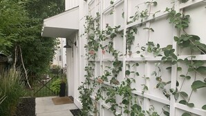 A white wooden trellis with climbing plants against a house wall. - Urban Lifestyle, Lakes District of MPLS! Quiet Family Neighborhood, 1BR, 1BA (Minneapolis)