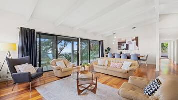 TV connectée, cheminée, livres, chaîne hi-fi