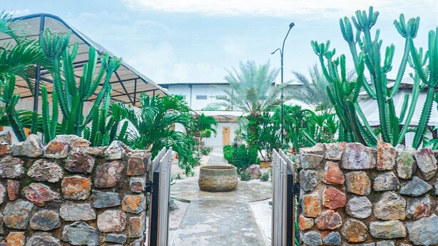 A pathway flanked by cacti and palm trees leading to a building with a sloped roof.