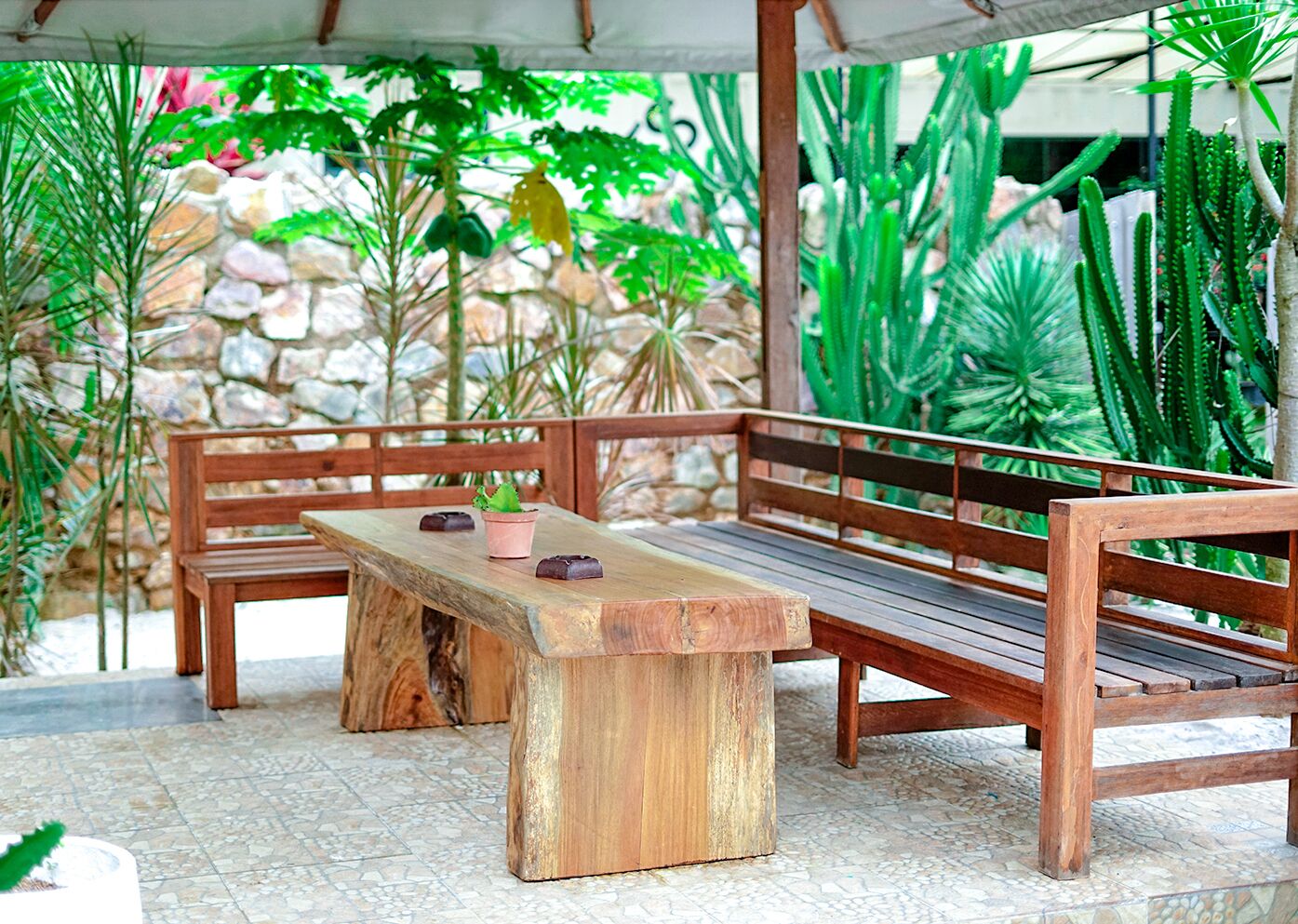 A wooden bench with a stone base, surrounded by various plants and a stone wall.