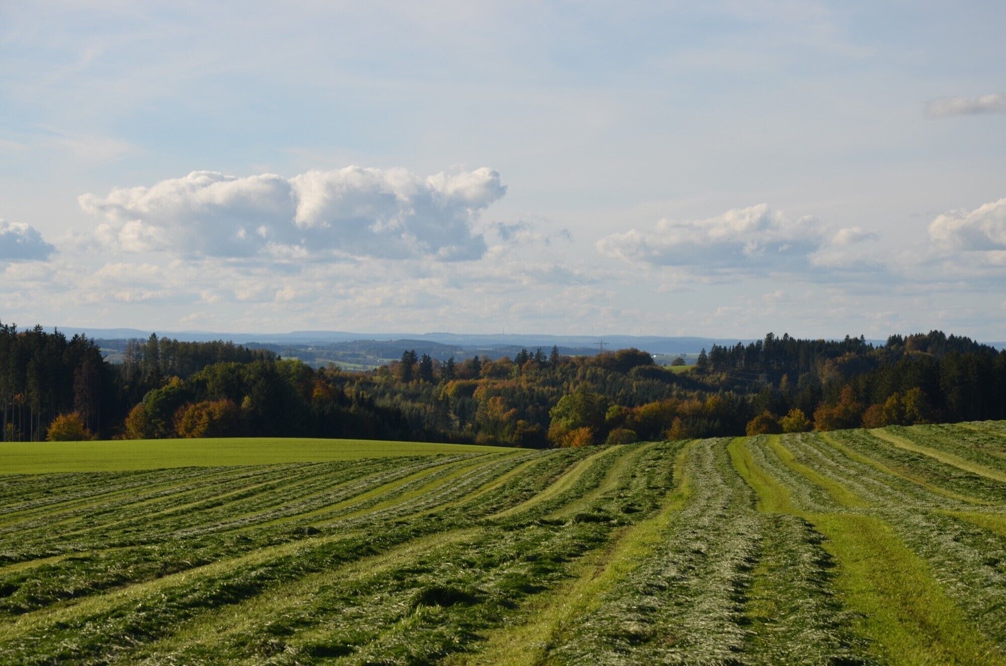 A rural landscape with fields and trees.