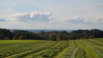 A rural landscape with fields and trees.
