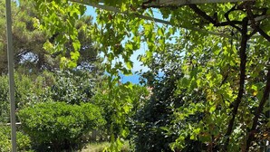 Apartment, 1 Bedroom, Smoking, Balcony | Balcony - Entire Private Apartment in Ulcinj (Ulcinj)