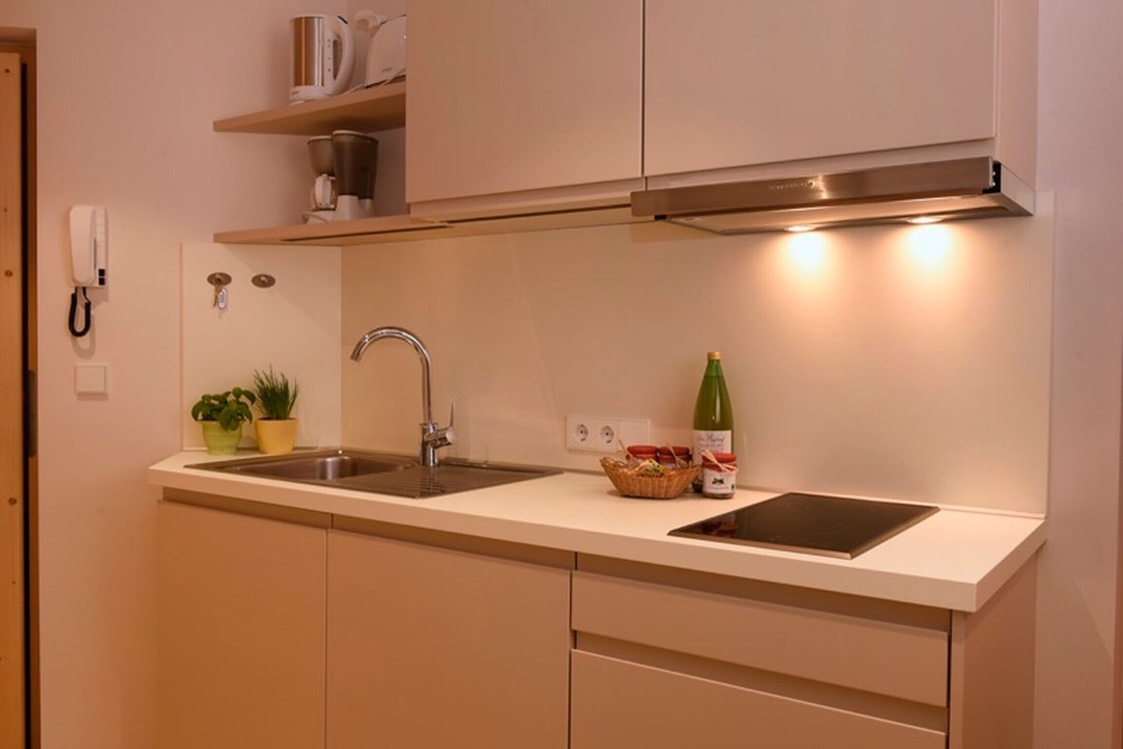 Fridge, stovetop, coffee/tea maker, electric kettle