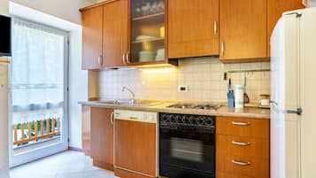 Fridge, oven, stovetop, dishwasher