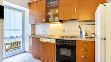 Fridge, oven, stovetop, dishwasher