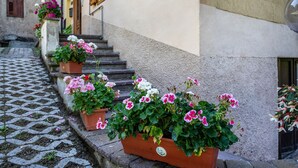 Un edificio con escalones que conducen a una puerta, plantas en macetas con flores y un camino de adoquines.