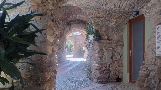 An arched stone corridor with a cobblestone path, a potted plant, and a door on the right.