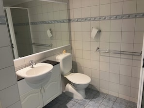 Hair dryer, towels, soap, toilet paper