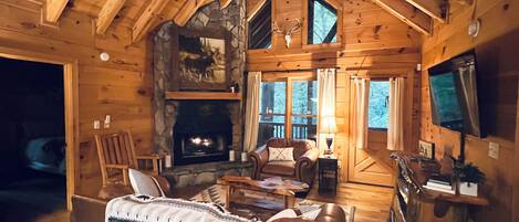 Smart TV, caminetto, lettore DVD, libri