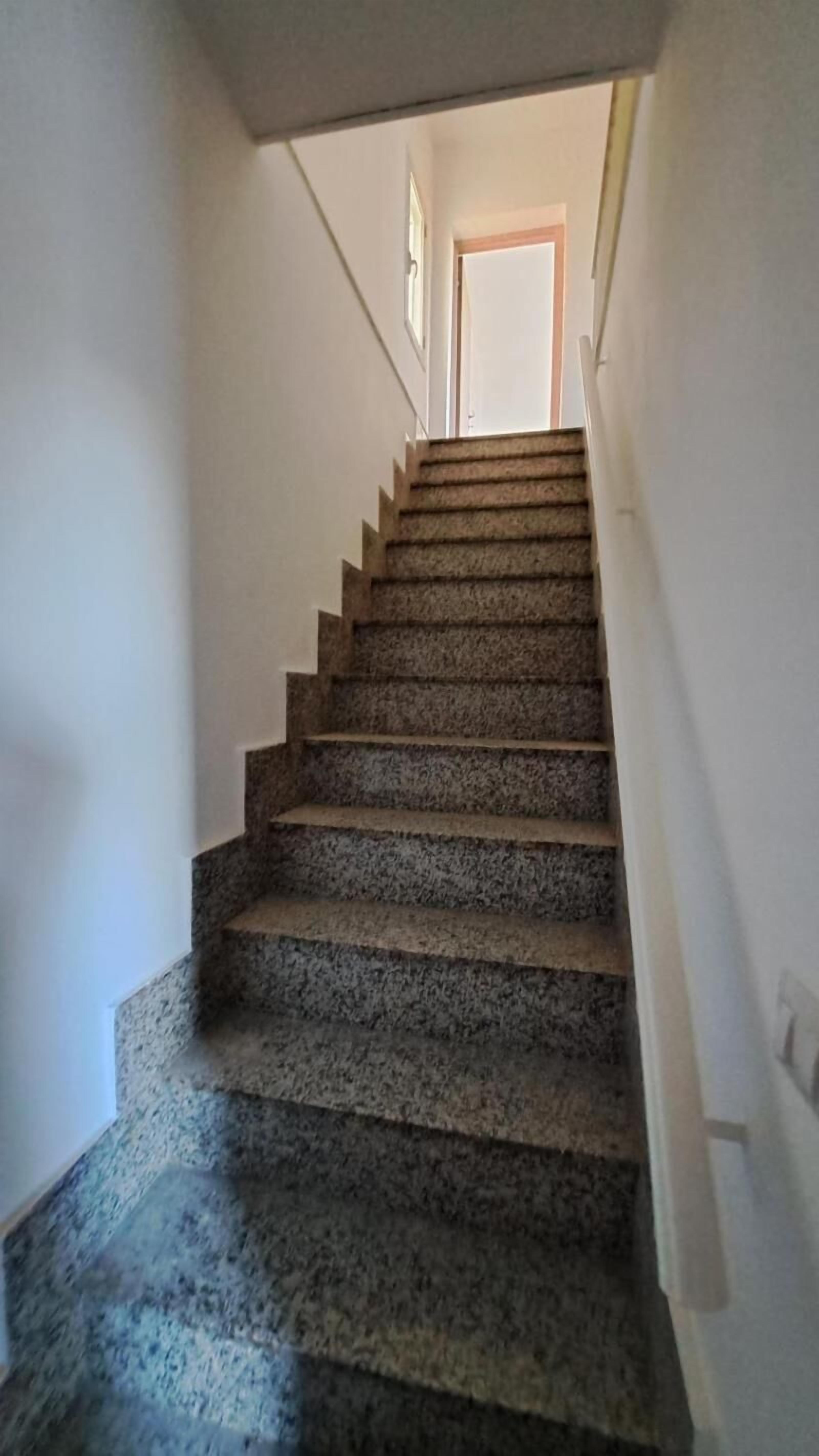 Un escalier muni d’une rampe et de marches recouvertes de moquette, menant à une porte située en haut.