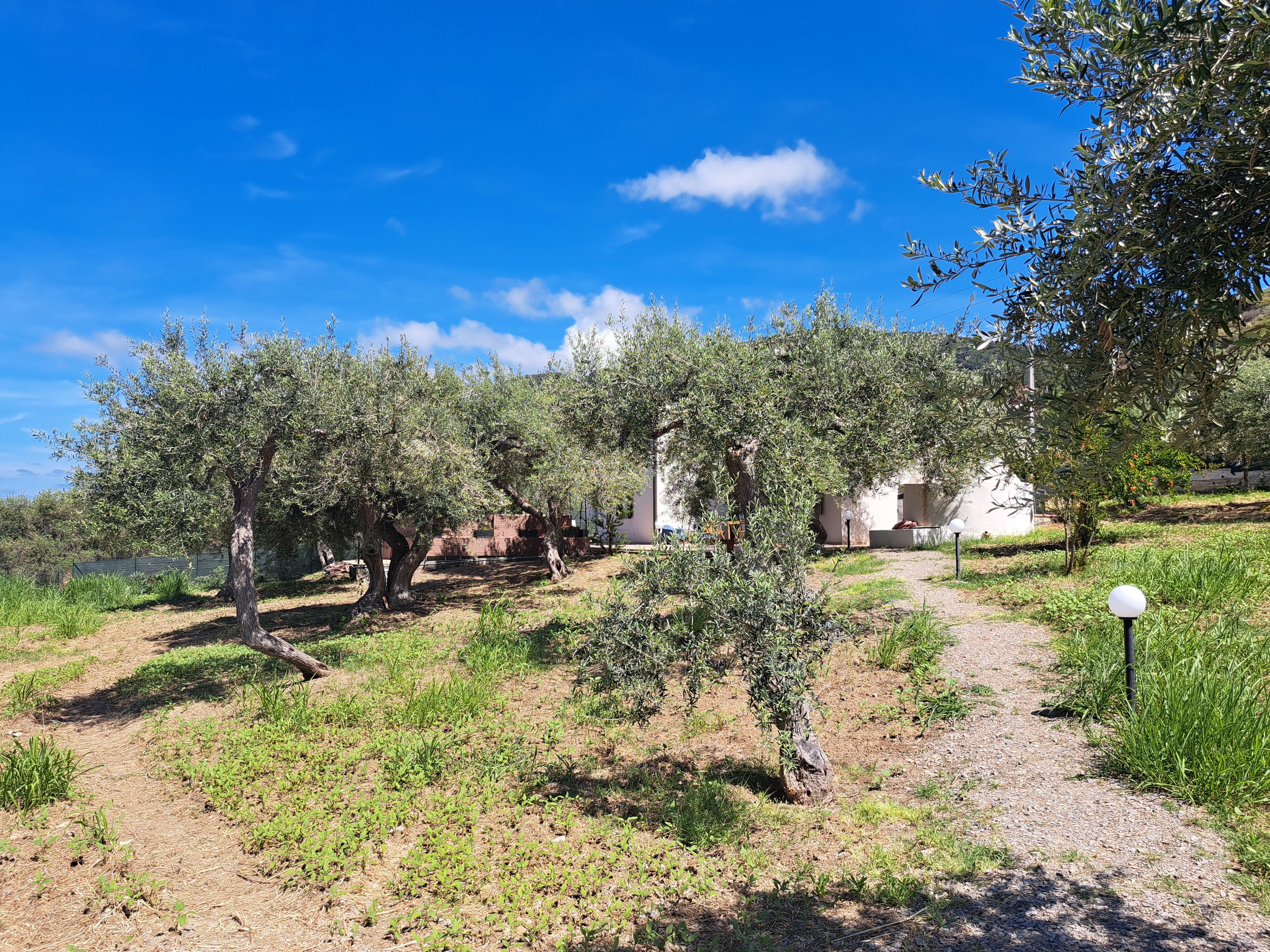 別墅, 3 間臥室, 私人泳池, 山景 | 浴室