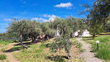 Villa, 3 Bedrooms, Private Pool, Mountain View | Bathroom