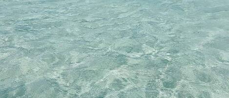 Apartment, 1 Schlafzimmer, barrierefrei, Raucher | Aussenbereich