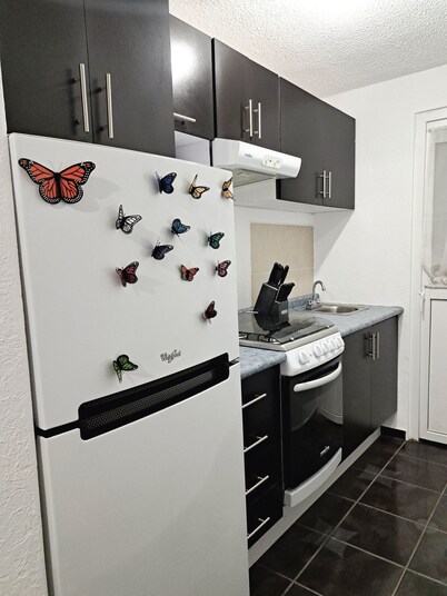 Modern House in Morelia. Jardin De La Montana