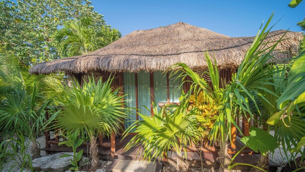 Une construction à toit de chaume, dotée d’une terrasse en bois, entourée de plantes tropicales et bordée d’un chemin de gravier.