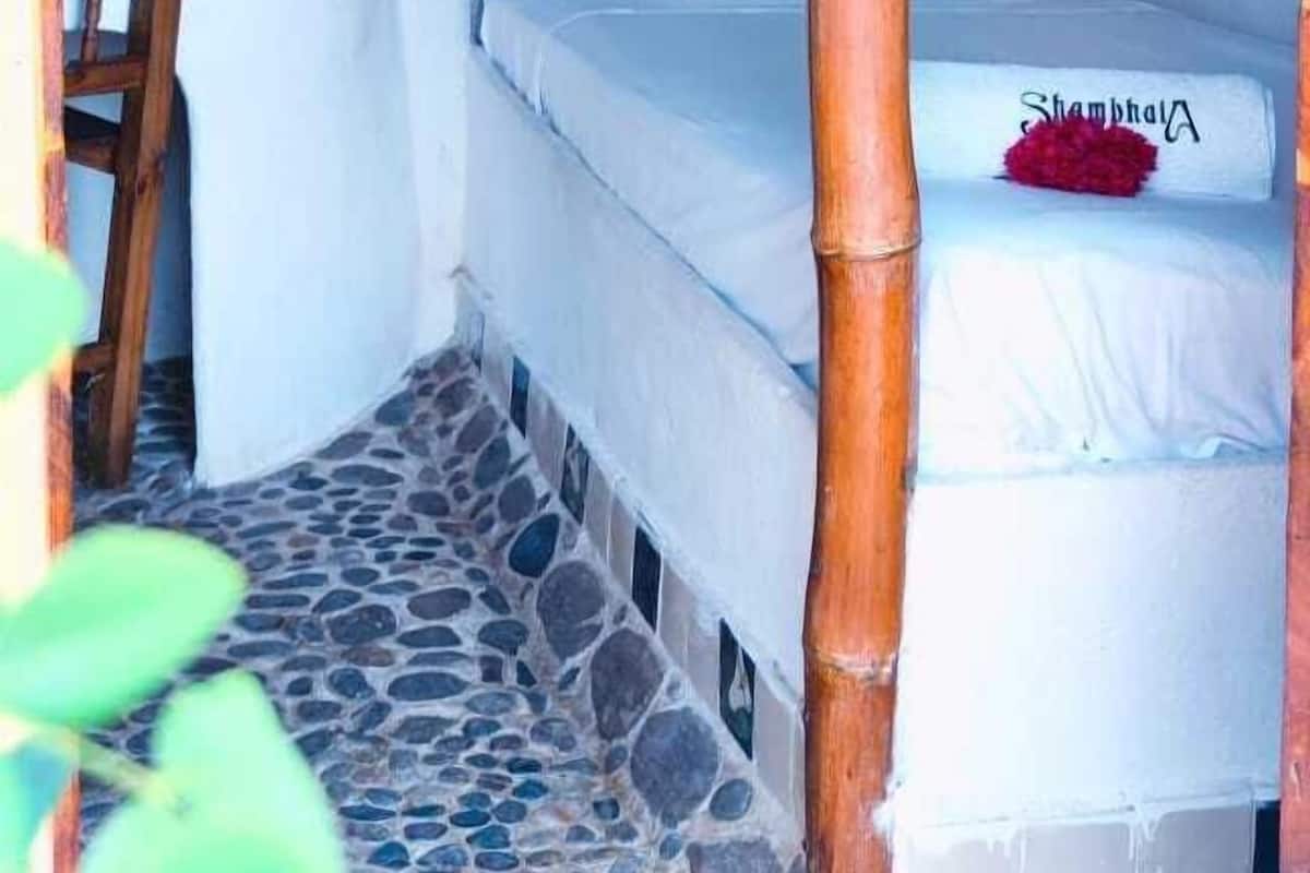 Standard Single Room | 1 bedroom, premium bedding, down comforters, free WiFi