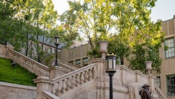 Terrain de l’hébergement