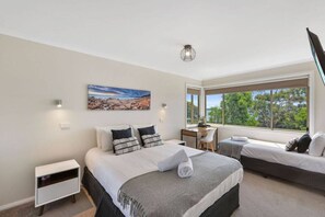 1 soverom, skrivebord og wi-fi