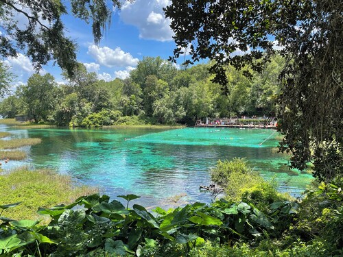 Travel and discover central Florida Springs while staying in our modest home.