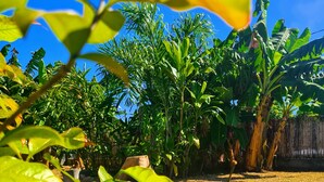A garden with various plants and a wooden fence in the background. - "Papara - Taharuʻu Beach 2BR House - Surf & Family - garden & secure garage (Papara)