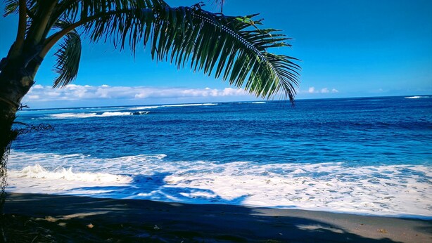 A beach with clear blue water, waves, and a palm tree. - "Papara - Taharuʻu Beach 2BR House - Surf & Family - garden & secure garage (Papara)
