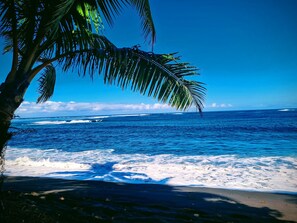Une plage avec une eau d’un bleu limpide, des vagues et un palmier.