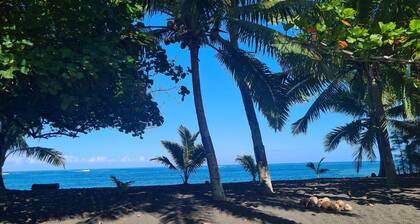 "Papara - Taharuʻu Beach 2BR House - Surf & Family - garden & secure garage