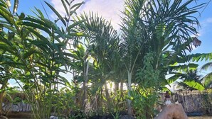 A garden with various tropical plants and a wooden stump. - "Papara - Taharuʻu Beach 2BR House - Surf & Family - garden & secure garage (Papara)