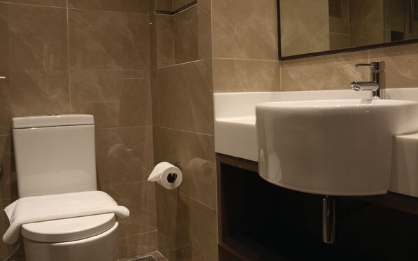 A bathroom with a toilet, a sink, and a mirror.