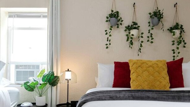 A hotel room with a bed, a bedside table with a lamp, a small potted plant, and a window with curtains. - Sleeps 7{SPACIOUS}Pets Welcome! (Sheboygan)
